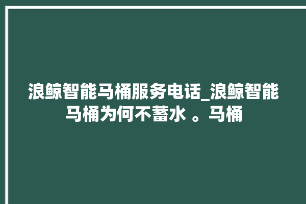 浪鲸智能马桶服务电话_浪鲸智能马桶为何不蓄水 。马桶