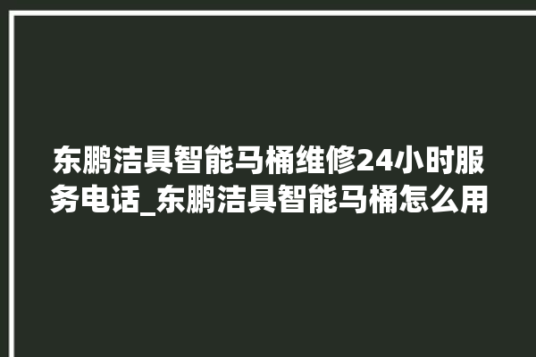 东鹏洁具智能马桶维修24小时服务电话_东鹏洁具智能马桶怎么用 。马桶