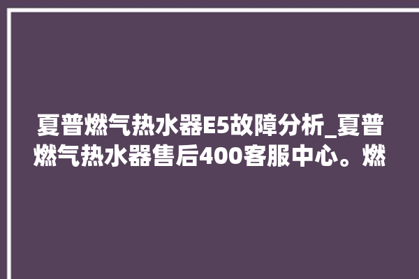 夏普燃气热水器E5故障分析_夏普燃气热水器售后400客服中心。燃气热水器_客服中心