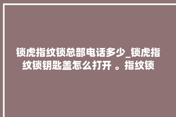 锁虎指纹锁总部电话多少_锁虎指纹锁钥匙盖怎么打开 。指纹锁