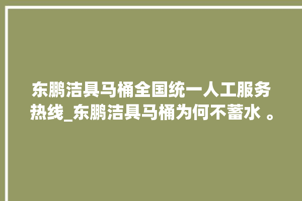 东鹏洁具马桶全国统一人工服务热线_东鹏洁具马桶为何不蓄水 。马桶