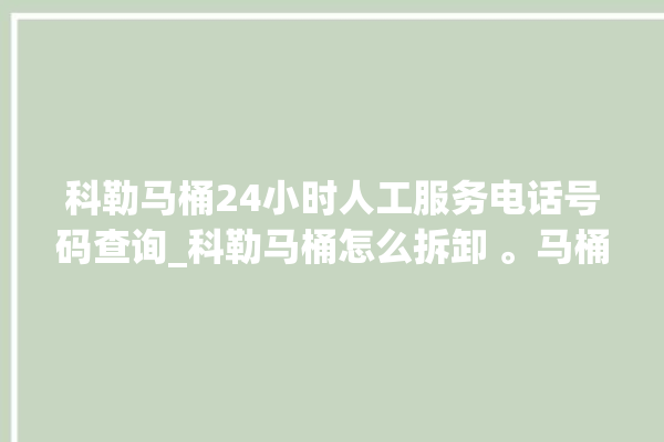 科勒马桶24小时人工服务电话号码查询_科勒马桶怎么拆卸 。马桶