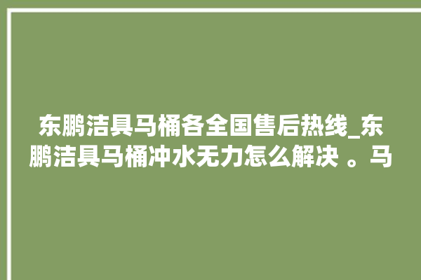 东鹏洁具马桶各全国售后热线_东鹏洁具马桶冲水无力怎么解决 。马桶