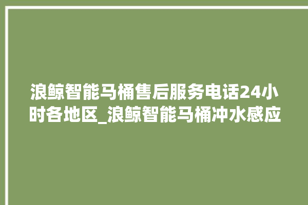 浪鲸智能马桶售后服务电话24小时各地区_浪鲸智能马桶冲水感应怎么调 。马桶