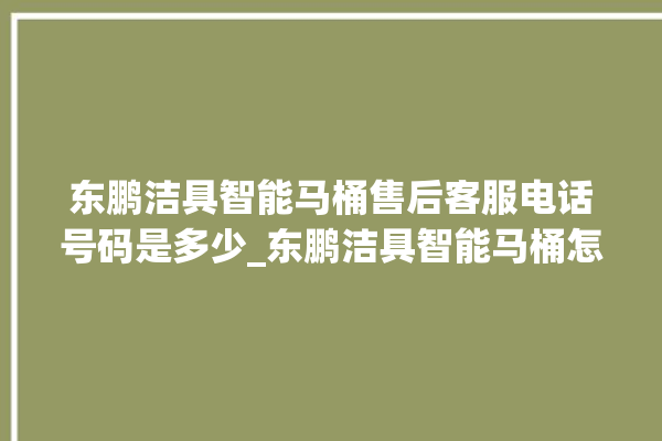 东鹏洁具智能马桶售后客服电话号码是多少_东鹏洁具智能马桶怎么拆卸 。马桶