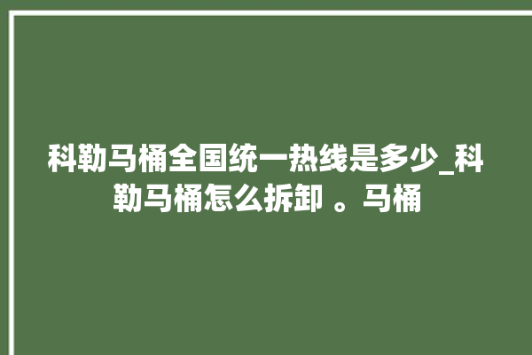 科勒马桶全国统一热线是多少_科勒马桶怎么拆卸 。马桶