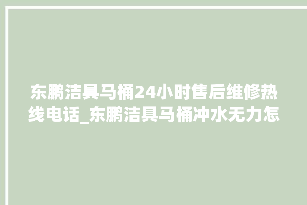 东鹏洁具马桶24小时售后维修热线电话_东鹏洁具马桶冲水无力怎么解决 。马桶