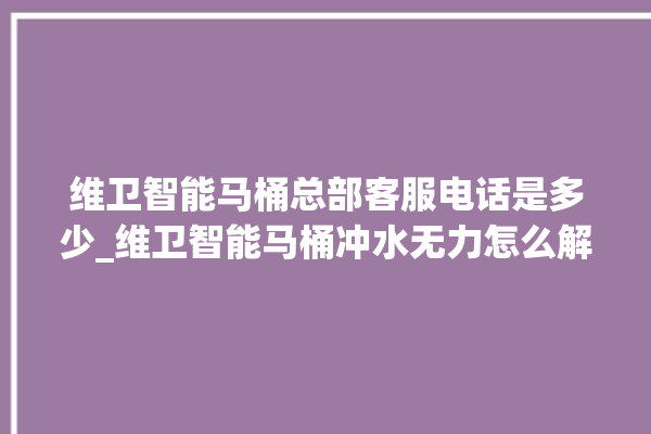 维卫智能马桶总部客服电话是多少_维卫智能马桶冲水无力怎么解决 。马桶