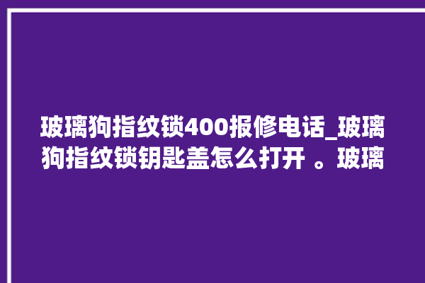 玻璃狗指纹锁400报修电话_玻璃狗指纹锁钥匙盖怎么打开 。玻璃