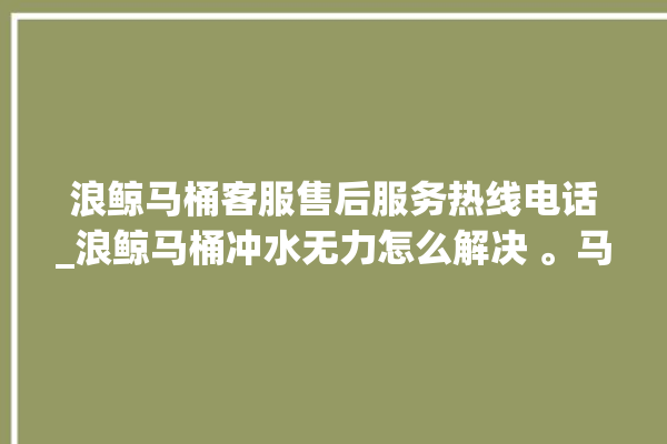 浪鲸马桶客服售后服务热线电话_浪鲸马桶冲水无力怎么解决 。马桶