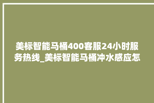 美标智能马桶400客服24小时服务热线_美标智能马桶冲水感应怎么调 。马桶