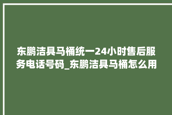 东鹏洁具马桶统一24小时售后服务电话号码_东鹏洁具马桶怎么用 。马桶