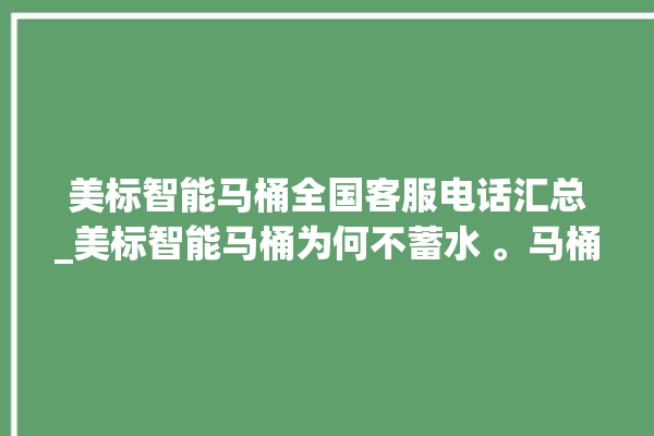 美标智能马桶全国客服电话汇总_美标智能马桶为何不蓄水 。马桶