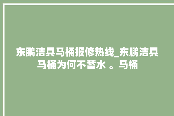 东鹏洁具马桶报修热线_东鹏洁具马桶为何不蓄水 。马桶