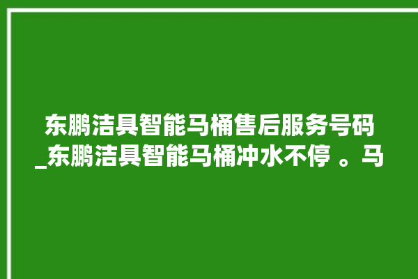 东鹏洁具智能马桶售后服务号码_东鹏洁具智能马桶冲水不停 。马桶