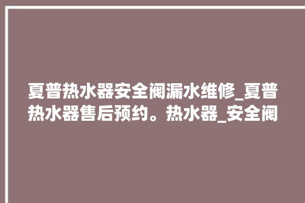 夏普热水器安全阀漏水维修_夏普热水器售后预约。热水器_安全阀