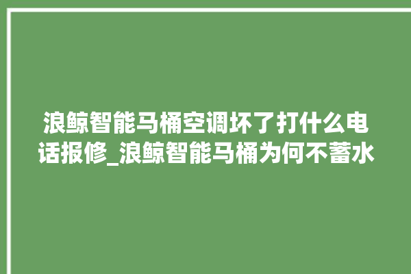 浪鲸智能马桶空调坏了打什么电话报修_浪鲸智能马桶为何不蓄水 。马桶