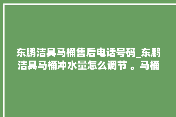 东鹏洁具马桶售后电话号码_东鹏洁具马桶冲水量怎么调节 。马桶