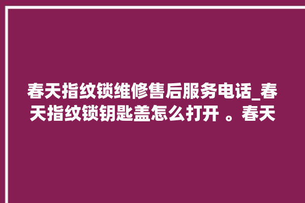 春天指纹锁维修售后服务电话_春天指纹锁钥匙盖怎么打开 。春天