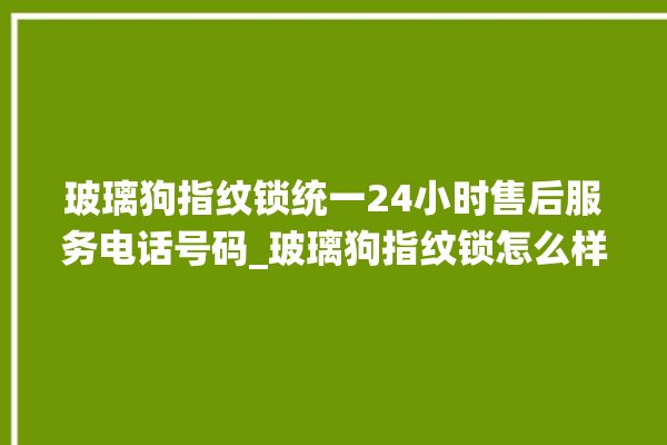 玻璃狗指纹锁统一24小时售后服务电话号码_玻璃狗指纹锁怎么样 。玻璃