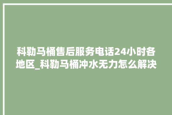 科勒马桶售后服务电话24小时各地区_科勒马桶冲水无力怎么解决 。马桶