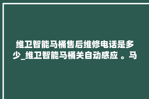 维卫智能马桶售后维修电话是多少_维卫智能马桶关自动感应 。马桶