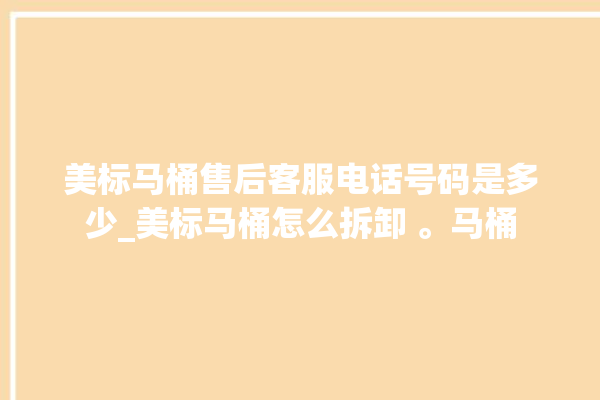 美标马桶售后客服电话号码是多少_美标马桶怎么拆卸 。马桶