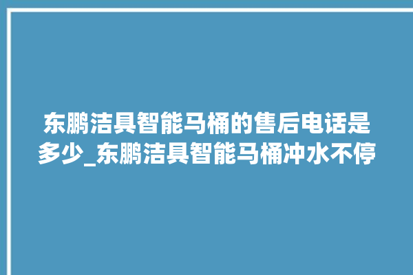 东鹏洁具智能马桶的售后电话是多少_东鹏洁具智能马桶冲水不停 。马桶