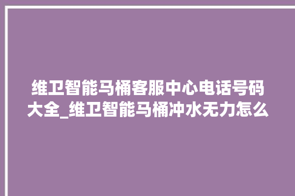 维卫智能马桶客服中心电话号码大全_维卫智能马桶冲水无力怎么解决 。马桶