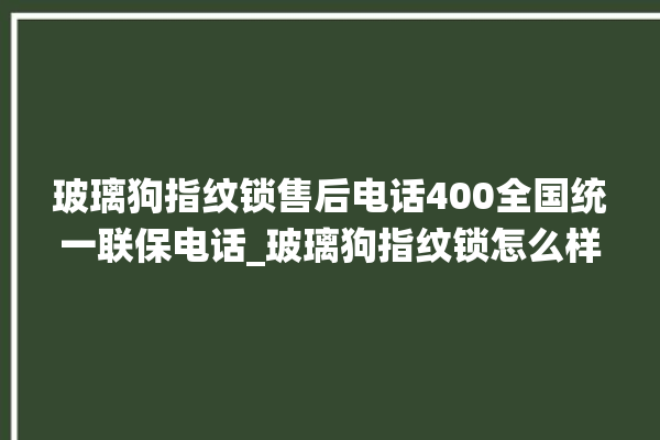 玻璃狗指纹锁售后电话400全国统一联保电话_玻璃狗指纹锁怎么样 。玻璃