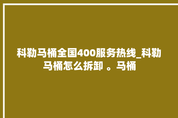 科勒马桶全国400服务热线_科勒马桶怎么拆卸 。马桶