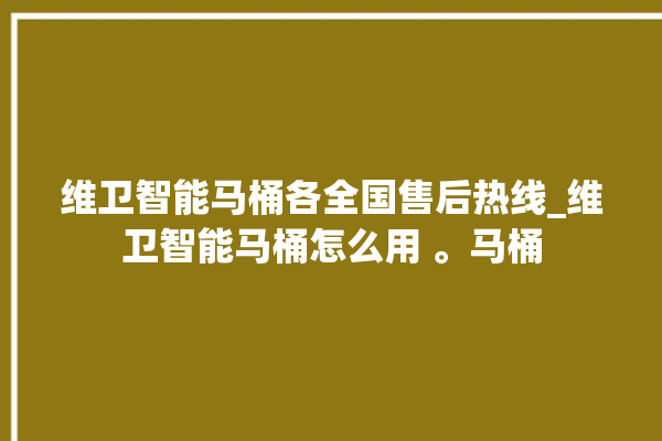 维卫智能马桶各全国售后热线_维卫智能马桶怎么用 。马桶