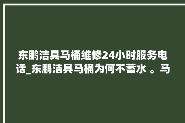 东鹏洁具马桶维修24小时服务电话_东鹏洁具马桶为何不蓄水 。马桶