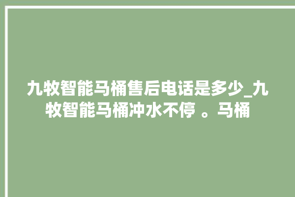 九牧智能马桶售后电话是多少_九牧智能马桶冲水不停 。马桶