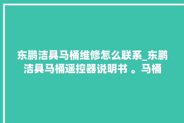 东鹏洁具马桶维修怎么联系_东鹏洁具马桶遥控器说明书 。马桶