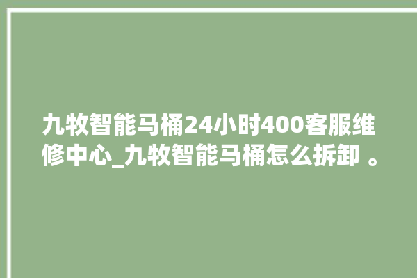 九牧智能马桶24小时400客服维修中心_九牧智能马桶怎么拆卸 。马桶