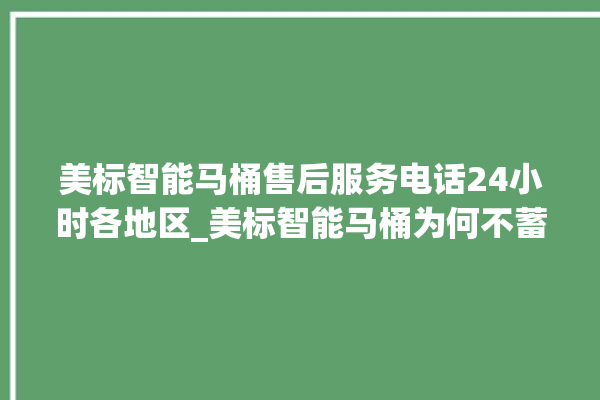 美标智能马桶售后服务电话24小时各地区_美标智能马桶为何不蓄水 。马桶