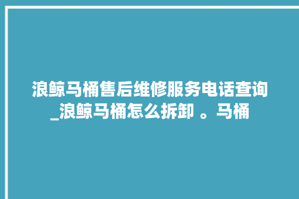 浪鲸马桶售后维修服务电话查询_浪鲸马桶怎么拆卸 。马桶