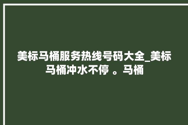 美标马桶服务热线号码大全_美标马桶冲水不停 。马桶