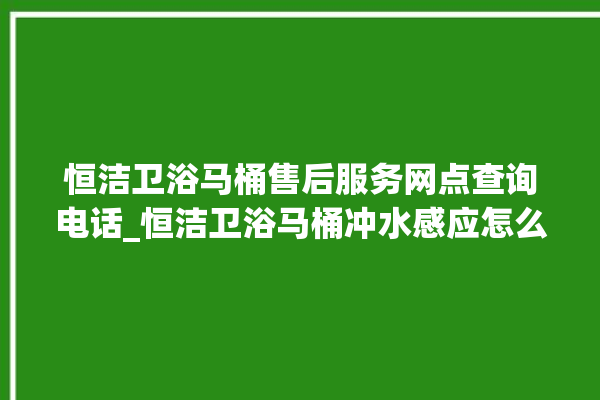 恒洁卫浴马桶售后服务网点查询电话_恒洁卫浴马桶冲水感应怎么调 。马桶