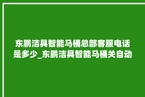 东鹏洁具智能马桶总部客服电话是多少_东鹏洁具智能马桶关自动感应 。马桶