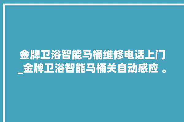 金牌卫浴智能马桶维修电话上门_金牌卫浴智能马桶关自动感应 。马桶