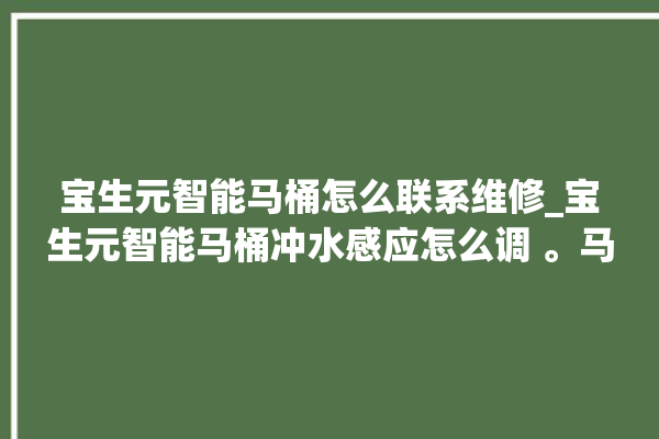 宝生元智能马桶怎么联系维修_宝生元智能马桶冲水感应怎么调 。马桶