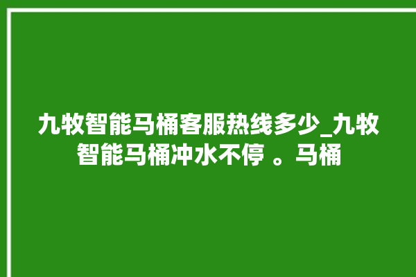 九牧智能马桶客服热线多少_九牧智能马桶冲水不停 。马桶