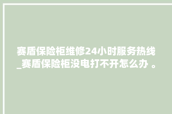 赛盾保险柜维修24小时服务热线_赛盾保险柜没电打不开怎么办 。保险柜