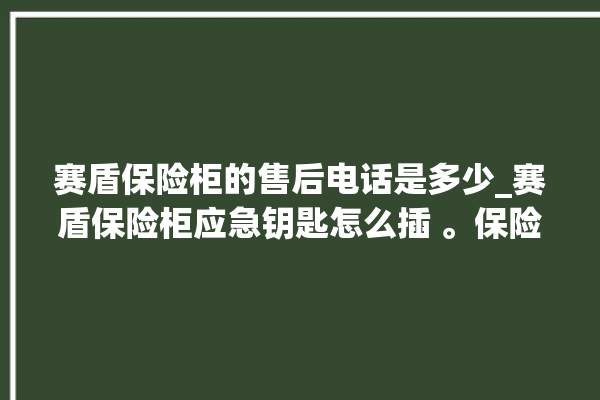 赛盾保险柜的售后电话是多少_赛盾保险柜应急钥匙怎么插 。保险柜