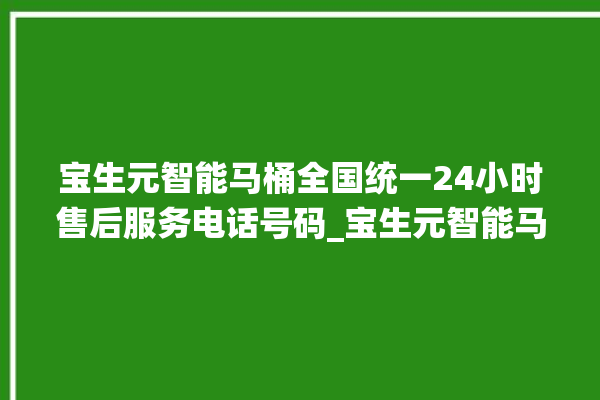 宝生元智能马桶全国统一24小时售后服务电话号码_宝生元智能马桶遥控器说明书 。马桶