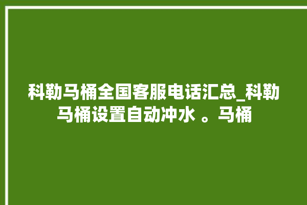 科勒马桶全国客服电话汇总_科勒马桶设置自动冲水 。马桶