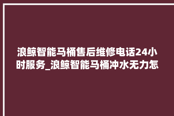 浪鲸智能马桶售后维修电话24小时服务_浪鲸智能马桶冲水无力怎么解决 。马桶