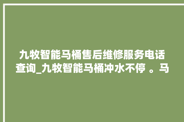 九牧智能马桶售后维修服务电话查询_九牧智能马桶冲水不停 。马桶